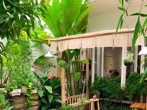 3 loại cây đừng trồng sau nhà