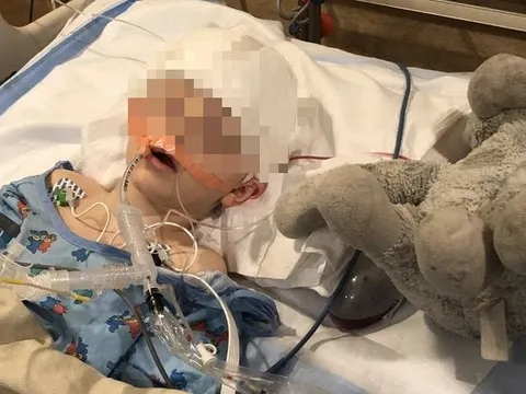 Tại sao ngày càng nhiều trẻ em mắc bệnh bạch cầu? Hãy bỏ ngay 4 thứ này khỏi nhà để bảo vệ con bạn!