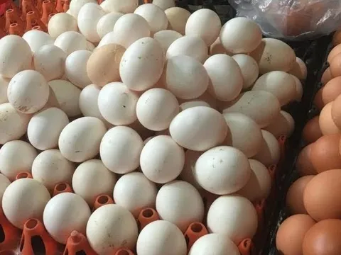 Mua trứng: Nên chọn quả to hay quả nhỏ? Người chăn nuôi tiết lộ đáp án