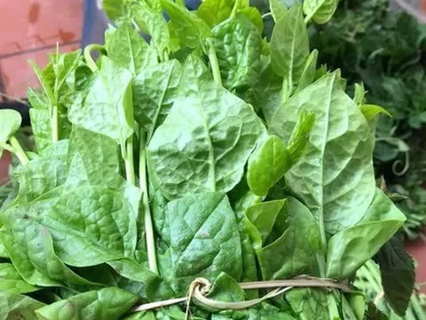 5 loại rau "bổ hơn thịt, rẻ hơn thuốc", bán đầy rẫy ở chợ Việt