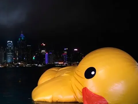 Vì sao nhiều người rất thông minh lại không hạnh phúc?