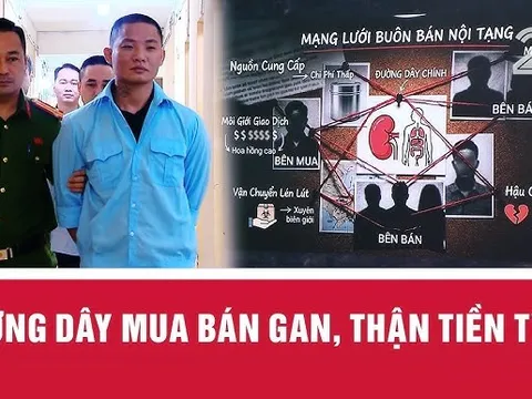 Phát hiện đường dây môi giới nội tạng hoạt động trên mạng: Bộ Y tế có động thái