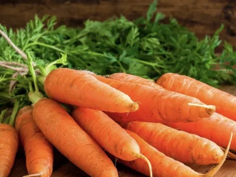 Nghiên cứu của ĐH Newcastle: 1 loại rau giúp giảm 20% nguy cơ ung thư nếu ăn mỗi tuần, ở Việt Nam bán đầy chợ với giá rẻ bèo