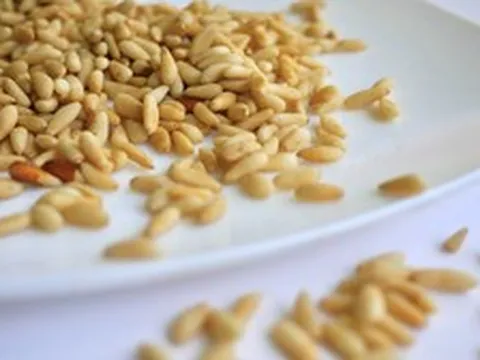 Loại hạt “tí hon” nhưng là “gã khổng lồ” dinh dưỡng, tốt cho tim mạch, chống lão hóa và bảo vệ mắt, ở Việt Nam rụng đầy gốc nhưng ít ai ăn