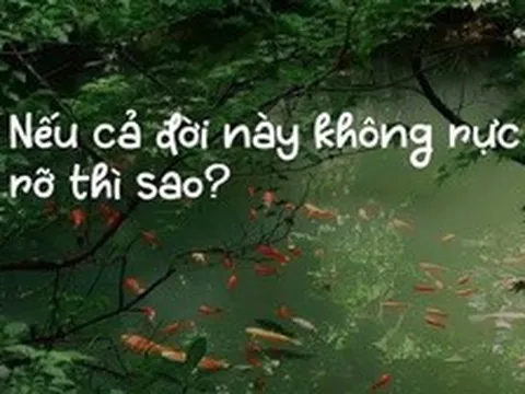 Vì sao câu nói 'Nếu cả đời này không rực rỡ thì sao?' gây sốt mạng?