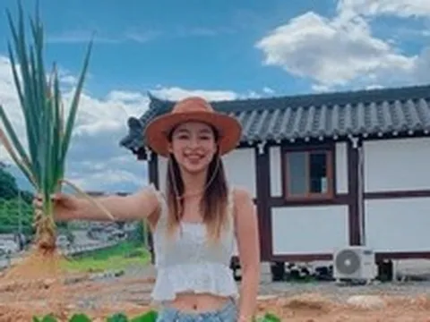 Thứ rau chợ Việt bán vài nghìn cả nắm, nấu món gì cũng thơm nhưng là "khắc tinh" của nhiều loại ung thư, "quét đường" trong máu