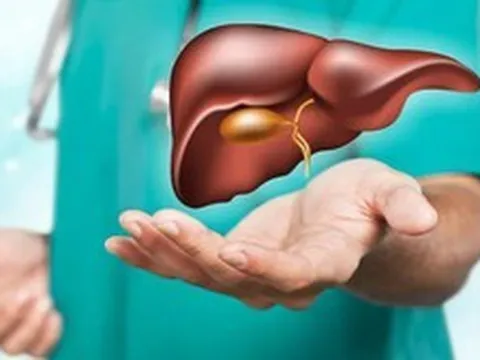 Khỏi hẳn gan nhiễm mỡ, máu nhiễm mỡ sau 90 ngày: Không hề dùng thuốc, bác sĩ cũng phải bất ngờ