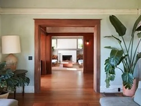 3 loại cây "hút" tài lộc và may mắn, rất nên trồng trong nhà