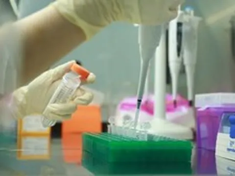 Lật mở thân phận sau hàng chục năm: Xét nghiệm ADN giúp Việt kiều tìm lại nguồn cội