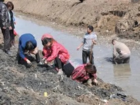 Công trường dừng thi công khẩn cấp vì máy xúc đào trúng vật cứng chứa hiện vật nặng hơn 100kg, con mương rộng 6m bị phong tỏa