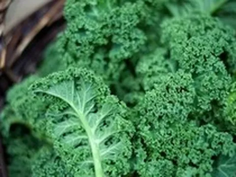 Mỹ công bố top 12 loại rau quả "ngậm" nhiều thuốc trừ sâu nhất 2026, bất ngờ với thứ ở vị trí đầu tiên