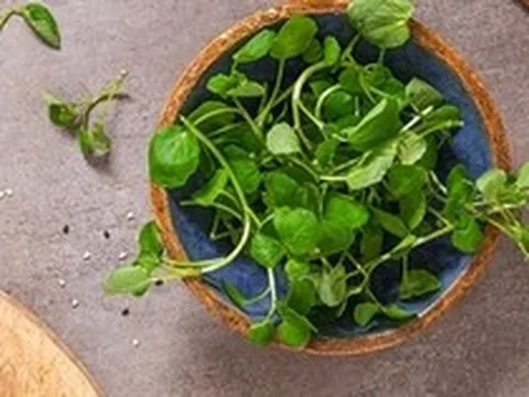 Loại rau "tốt nhất thế giới", giàu chất chống oxy, giảm cholesterol xấu được chuyên gia dinh dưỡng công nhận