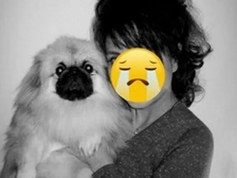 Nữ diễn viên 2 năm trước ngã chấn thương sọ não, nay đột ngột qua đời vì biến chứng viêm phổi