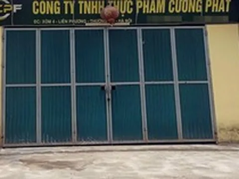 Vụ 300 tấn lợn bệnh: Lộ tên 2 trường dùng thịt của Công ty Cường Phát