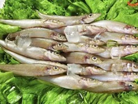 Nghiên cứu ĐH Harvard: 1 LOẠI cá siêu tốt, giúp giảm 31% nguy cơ ung thư đại trực tràng, Việt Nam rất sẵn và rẻ nhưng ít nhà ăn