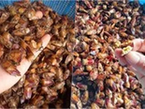 'Đặc sản' mua theo mạng xã hội: Từ tò mò dễ trở thành rủi ro sức khỏe