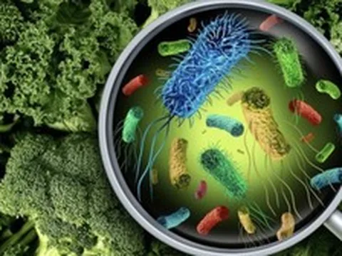 Vụ hàng chục học sinh tiểu học sốt, đau bụng: Nguyên nhân ban đầu hé lộ điều gì?