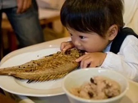 Những loại cá có nguy cơ chưa nhiều kim loại nặng cao, trẻ nhỏ nên hạn chế ăn