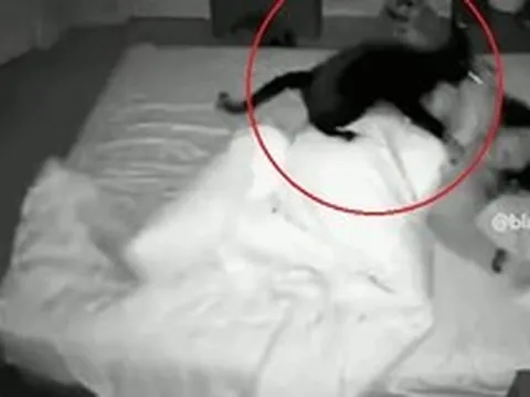 Người phụ nữ ngày nào cũng đi ngủ sớm nhưng sáng dậy vẫn thiếu ngủ, mệt mỏi trầm trọng, đoạn camera giám sát lúc 3 giờ sáng tiết lộ