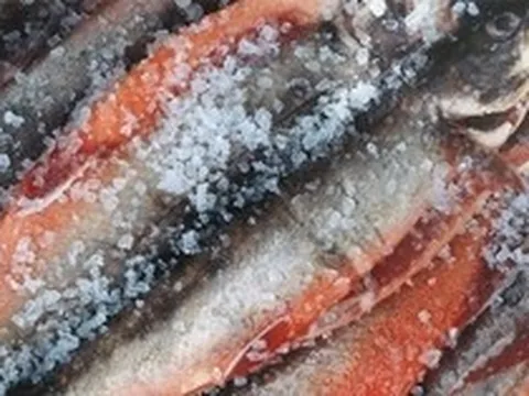 3 loại cá "bẩn nhất chợ", ít dinh dưỡng, tiềm ẩn độc tố nhưng nhiều người Việt lại cực mê