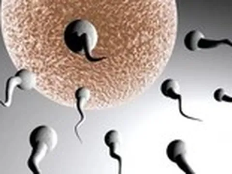 Nghiên cứu: Tinh trùng nam giới 'lên đỉnh' mùa hè, giảm mạnh vào mùa đông