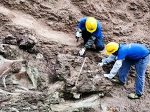 Một khu vực ở Trung Quốc phát hiện hơn 700 sinh vật có thể viết lại lịch sử sự sống Trái Đất: Chuyện gì đang xảy ra?