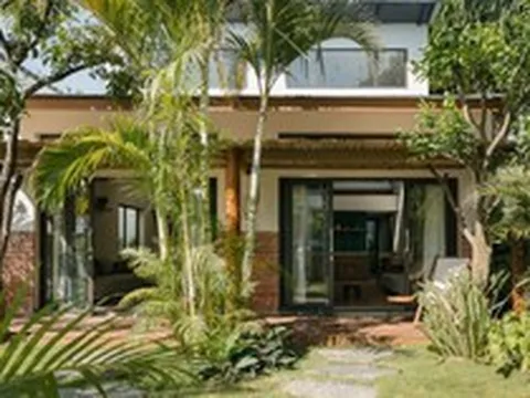 Gia đình đang trồng cau trước nhà cần biết điều này