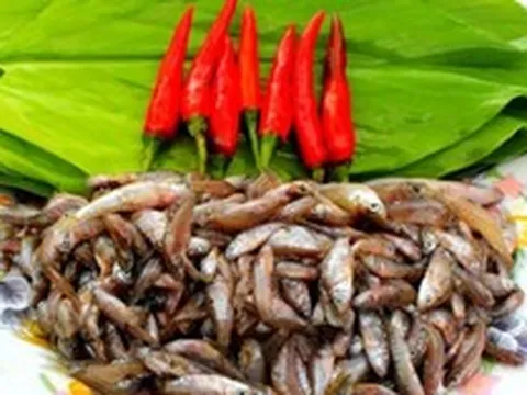 Loại cá "nhà nghèo" xưa ra đồng bắt về ăn, nay thành đặc sản ngon và hiếm giá 400.000 đồng/kg vẫn hút khách