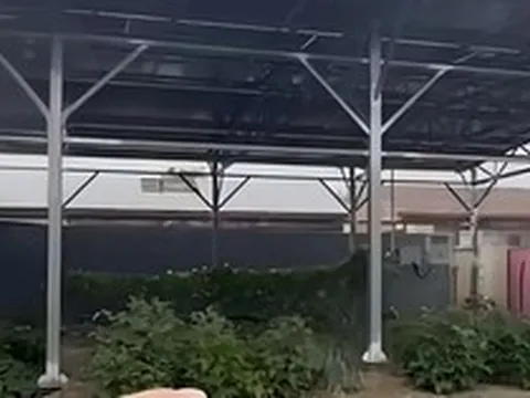 Cho thuê 200m² đất bỏ không để kiếm 115 triệu đồng, người đàn ông lỗ gấp 6 lần, còn bị cơ quan chức năng xử phạt