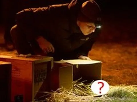 Loài vật từng bị tuyên bố tuyệt chủng bất ngờ "sống lại" sau 30 năm: Khoảng 100 cá thể đã trở về