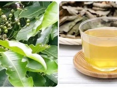 Những người không nên uống nước vối
