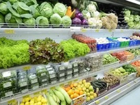 Lời khuyên khi mua xà lách