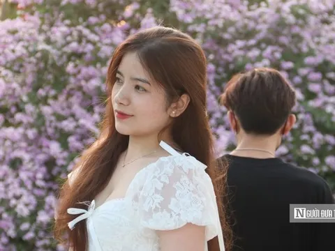Cây bằng lăng "hot" nhất Hà Nội lúc này, giới trẻ chen chân săn ảnh