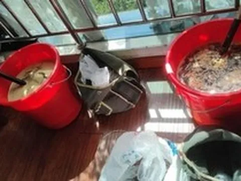 Đột kích 1 khách sạn, công an bắt giữ 2 người, tịch thu hơn 100 kg mật ong giả