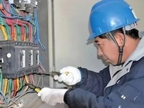 Phát hiện lượng điện cao bất thường tại khu nuôi tôm, cảnh sát vào cuộc điều tra, bắt giữ 2 đối tượng "trộm" hơn 60.000 kWh điện