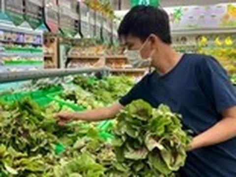 Vì sao ăn nhiều rau vẫn bị táo bón?