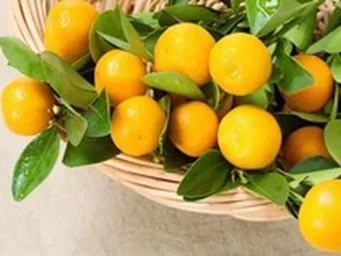 5 loại “quả vàng” được ví như cao thủ tiêu đờm: Ăn đúng cách giúp làm sạch phổi, giảm ho, cổ họng dễ chịu