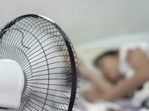 Không cần chỉnh số to nhất, bật quạt thế này vào ban đêm mát hơn bình thường: EVN hướng dẫn
