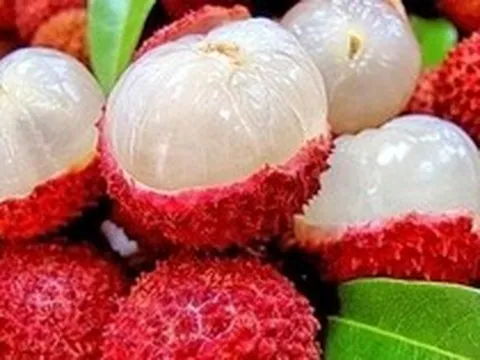 Lời khuyên khi mua vải