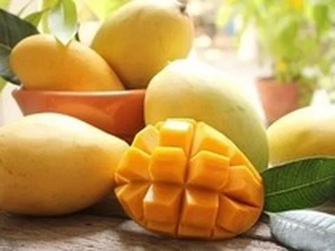 Không chỉ giàu vitamin C, xoài còn được đánh giá cao nhờ 3 lợi ích với sức khỏe