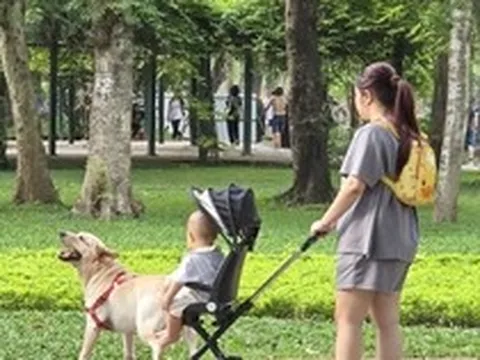 Thông tin quan trọng liên quan đến toàn bộ người nuôi động vật, thú cưng từ 1/8