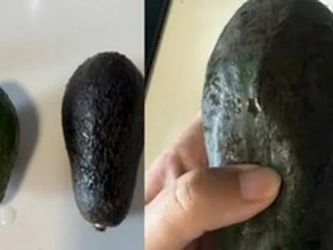 Loại quả "khó chiều" nhất trên đời, hàng triệu người đau đầu sau khi mua