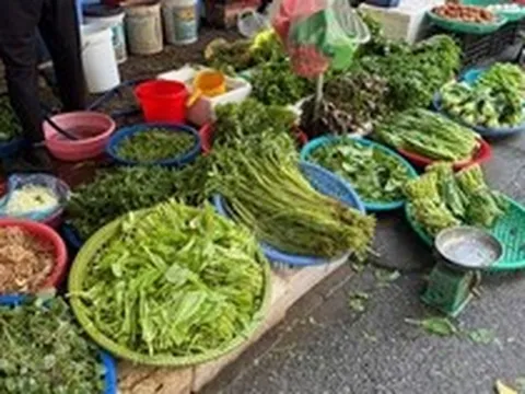 5 loại rau đang đúng mùa, đi chợ thấy là nên mua