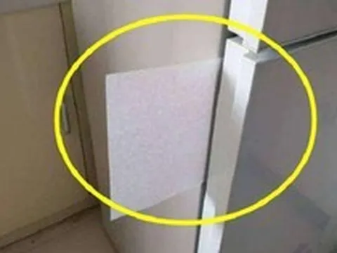 Kẹp 1 tờ giấy vào tủ lạnh, tôi hối hận vì 30 năm cuộc đời chưa biết cách này sớm hơn