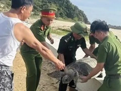 Bắt gặp 'vị khách' quý trong lưới, ngư dân có hành động bất ngờ