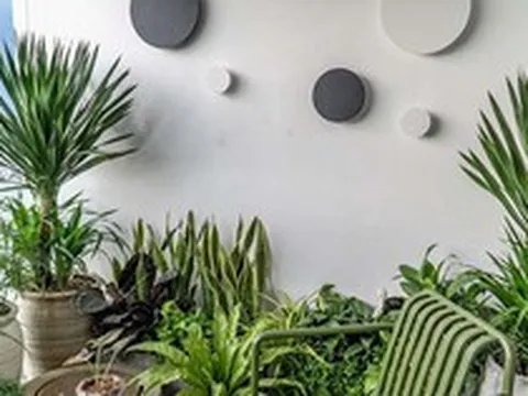 2 hướng trồng cây trong nhà: Trồng đúng sẽ có đủ tài lộc, sức khỏe
