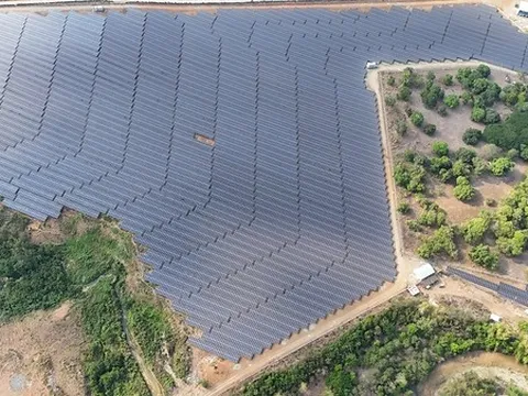Trinasolar cung cấp mô-đun cho dự án điện mặt trời Bugallon công suất 25 MWp của PetroGreen tại Philippines