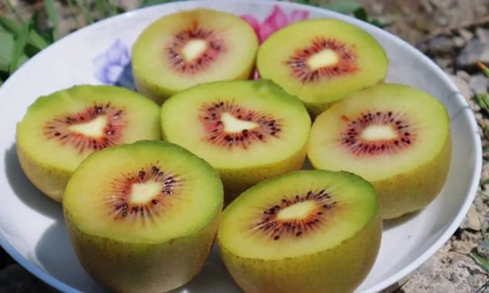 Loại quả được gọi là "trái cây ngủ", ăn một vài miếng mỗi ngày có thể giúp bạn ngủ ngon giấc đến tận sáng, chợ Việt bán rất nhiều